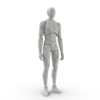 Posed Male Figure.I16.2k